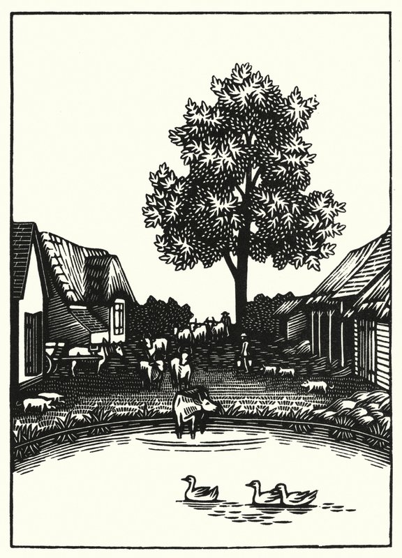 Illustration til Tess Of The DUrbervilles af Thomas Hardy (gravering) af Vivien Gribble