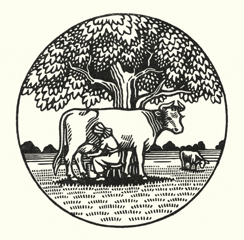 Illustration til Tess Of The DUrbervilles af Thomas Hardy (gravering) af Vivien Gribble