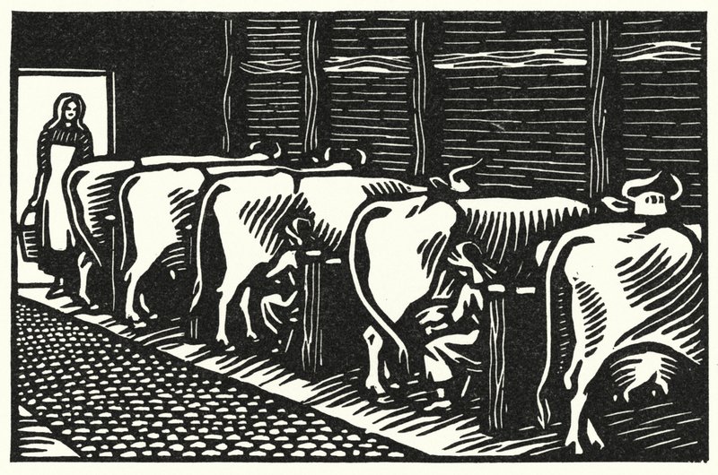 Illustration til Tess Of The DUrbervilles af Thomas Hardy (gravering) af Vivien Gribble