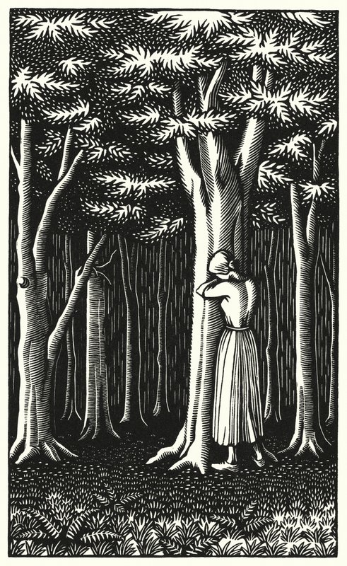 Illustration til Tess Of The DUrbervilles af Thomas Hardy (gravering) af Vivien Gribble