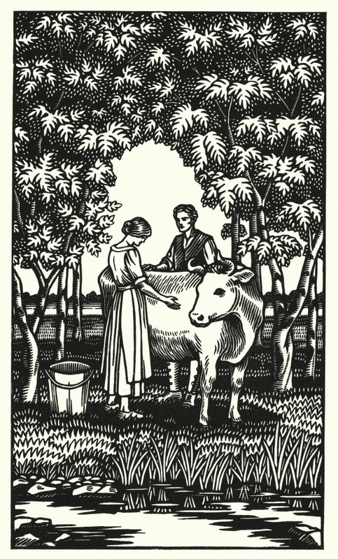 Illustration til Tess Of The D