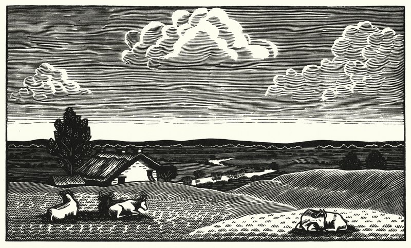 Illustration til Tess Of The DUrbervilles af Thomas Hardy (gravering) af Vivien Gribble