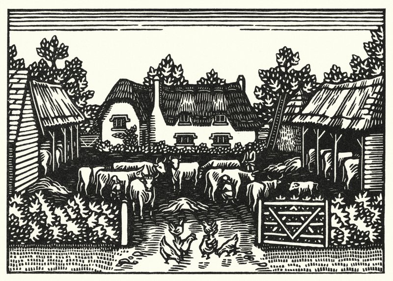 Illustration til Tess Of The DUrbervilles af Thomas Hardy (gravering) af Vivien Gribble
