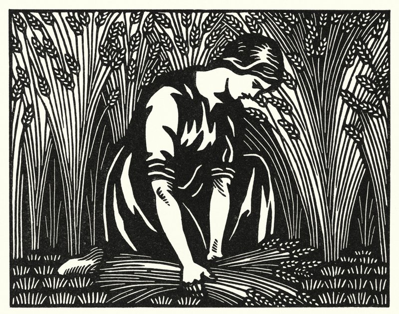 Illustration til Tess Of The DUrbervilles af Thomas Hardy (gravering) af Vivien Gribble