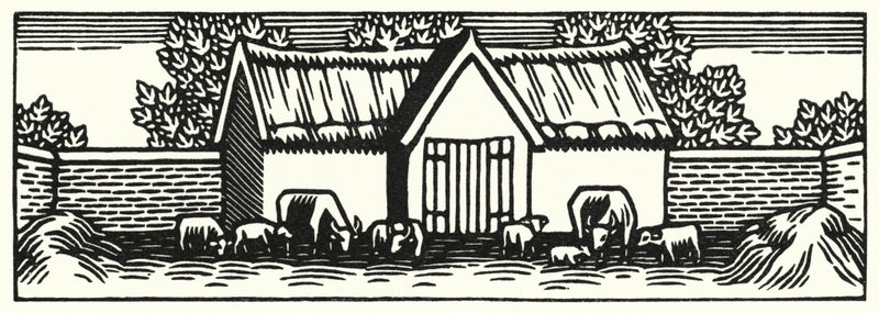 Illustration til Tess Of The DUrbervilles af Thomas Hardy (gravering) af Vivien Gribble