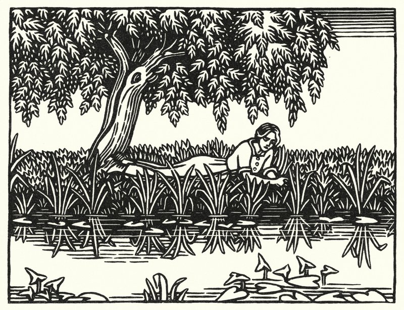 Illustration til Tess Of The DUrbervilles af Thomas Hardy (gravering) af Vivien Gribble