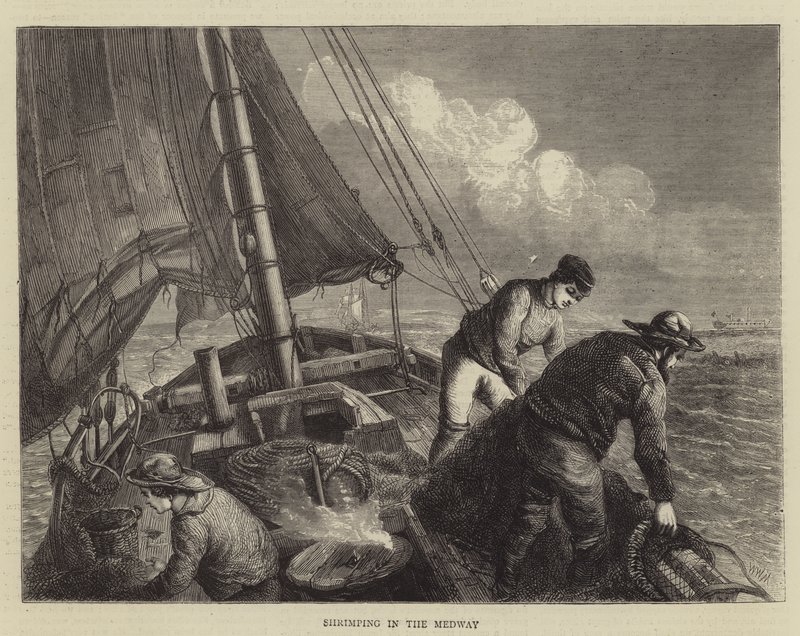 Rejefiskeri i Medway af Walter William May