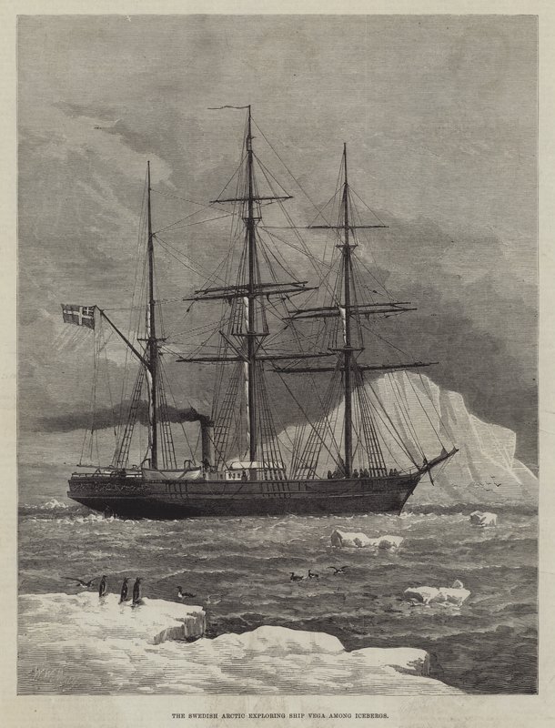 Det svenske Arktis udforsker skib Vega blandt isbjerge af Walter William May