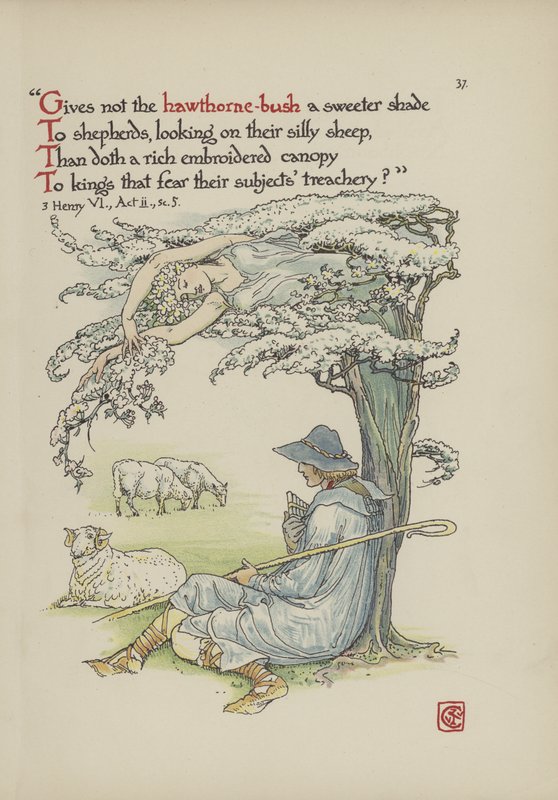Blomster fra Shakespeares have af Walter Crane
