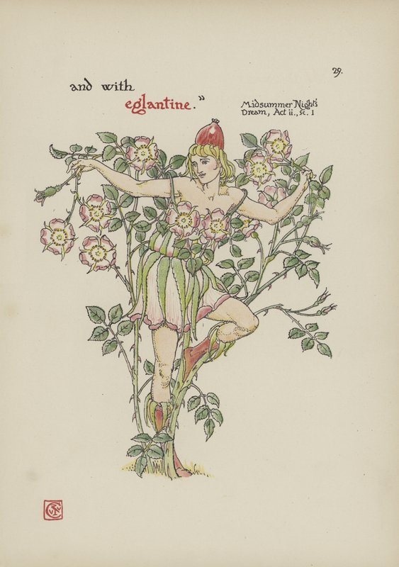 Blomster fra Shakespeares have af Walter Crane