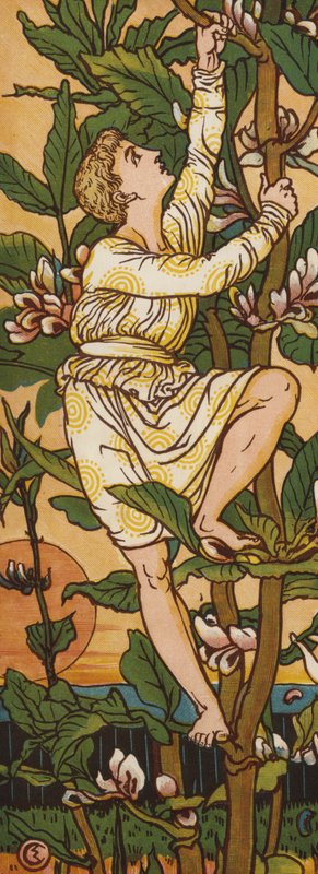 Jack og bønnestilken (farve litho) af Walter Crane