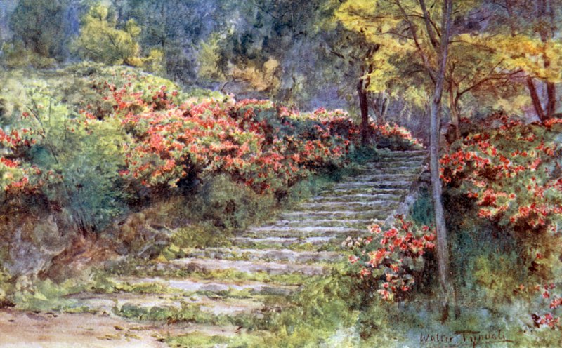 Azaleaer ved en gammel trappe, Kyoto af Walter Frederick Roofe Tyndale