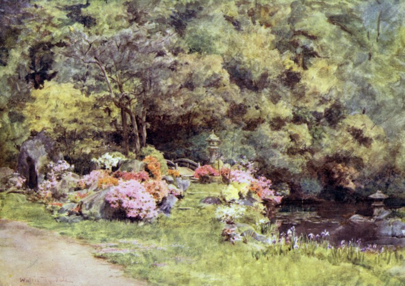 Azaleaer i Choin i tempelhaverne, Kyoto af Walter Frederick Roofe Tyndale