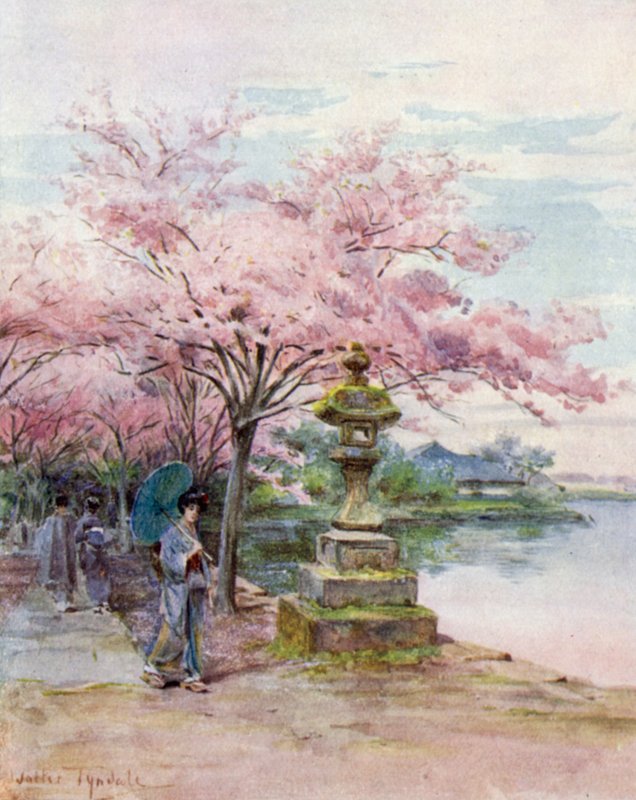 Kirsebærblomst og stenlygte, Ueno Park af Walter Frederick Roofe Tyndale