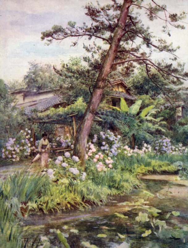 Hortensiaer i tehaven på Nichi Otani, Kyoto af Walter Frederick Roofe Tyndale