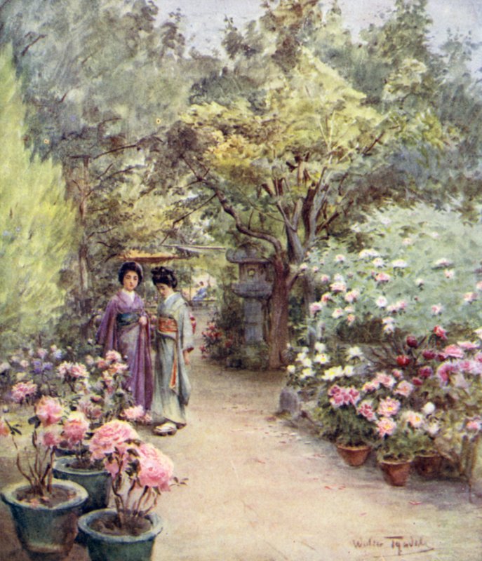 Pæoner i en tehave, Kyoto af Walter Frederick Roofe Tyndale