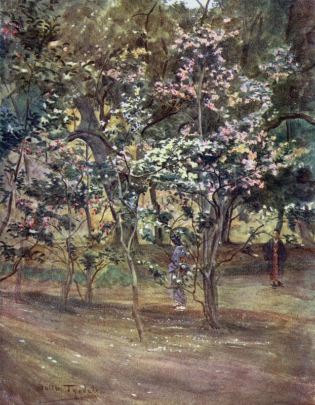 Enkelte kameliaer i Ueno Park, Tokio af Walter Frederick Roofe Tyndale