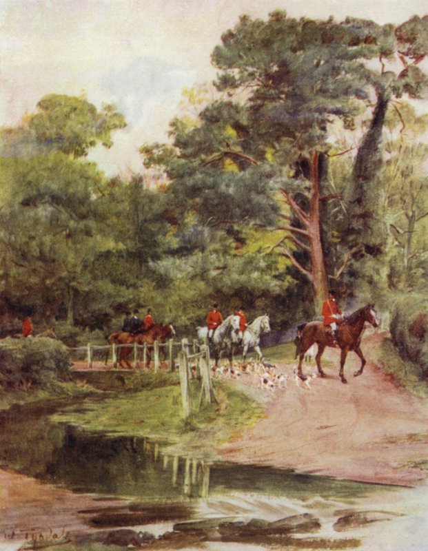 The New Forest: Minstead Brook (farve litho) af Walter Frederick Roofe Tyndale