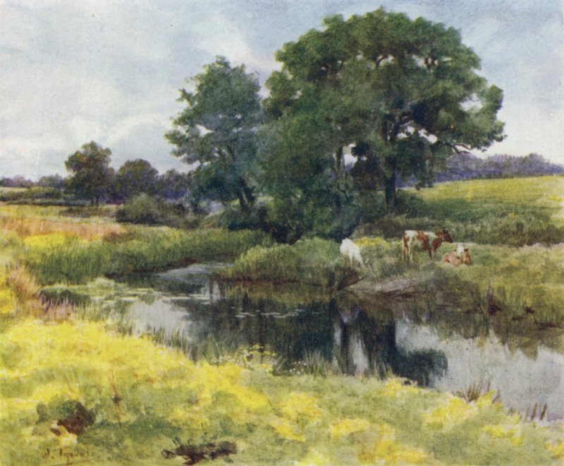 The New Forest: On the Lymington River (farve litho) af Walter Frederick Roofe Tyndale