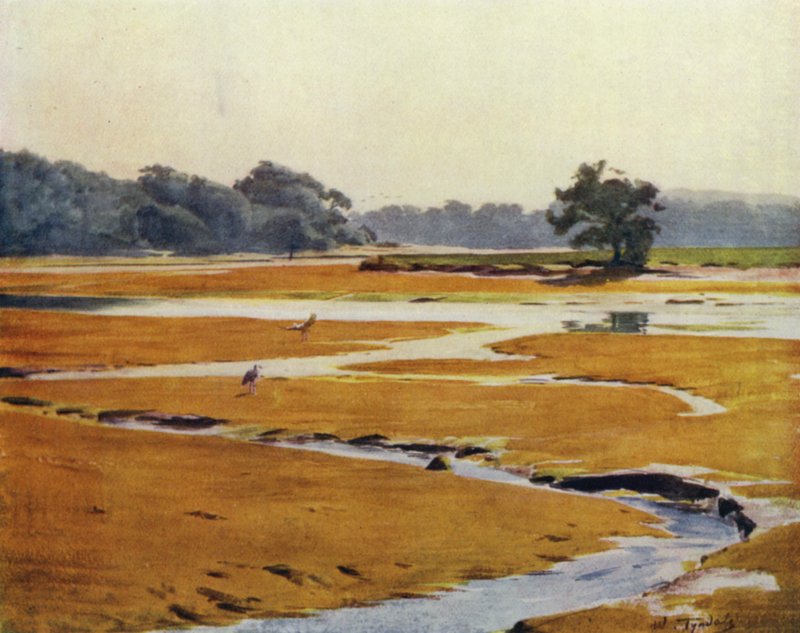 The New Forest: The Beaulieu River (farve litho) af Walter Frederick Roofe Tyndale