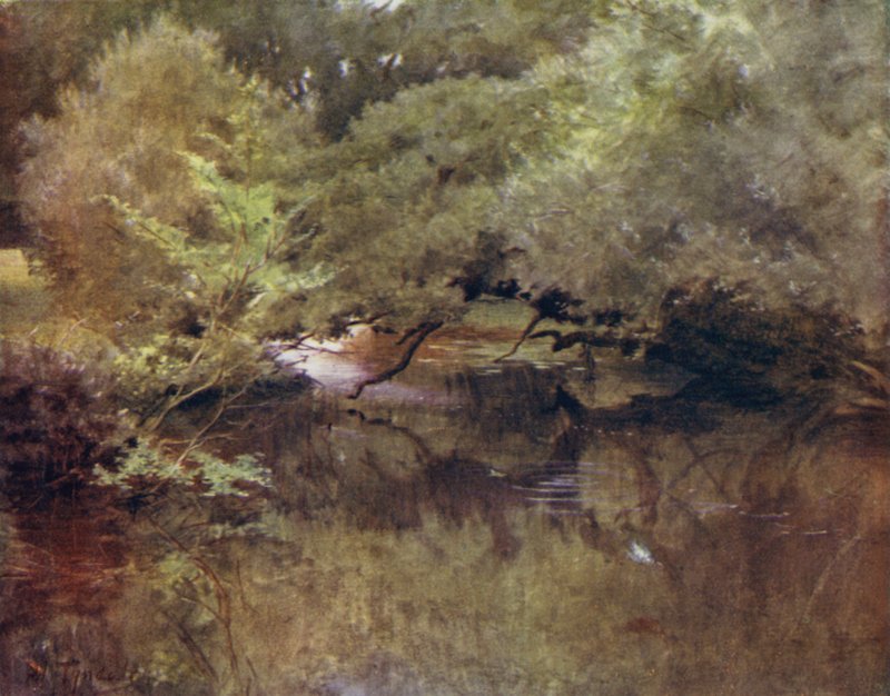 The New Forest: Lymington River ved Royden, nær Boldre (farve litho) af Walter Frederick Roofe Tyndale