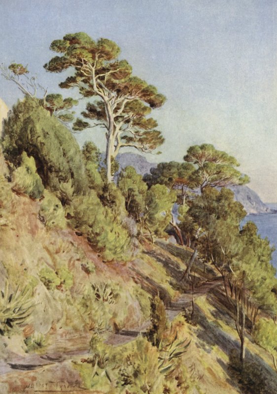 Villa Puma, Sestri Levante af Walter Frederick Roofe Tyndale