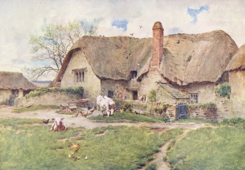 Wessex: En malkekvægsbedrift i Wessex (farvelitografi) af Walter Frederick Roofe Tyndale