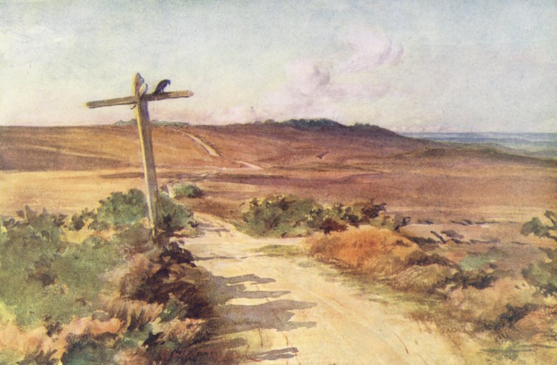 Wessex: Bere Heath om efteråret med Gallows Hill i det fjerne (farvelitografi) af Walter Frederick Roofe Tyndale