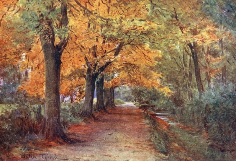 Wessex: Bockhampton Bank, nær Dorchester (farvelitografi) af Walter Frederick Roofe Tyndale