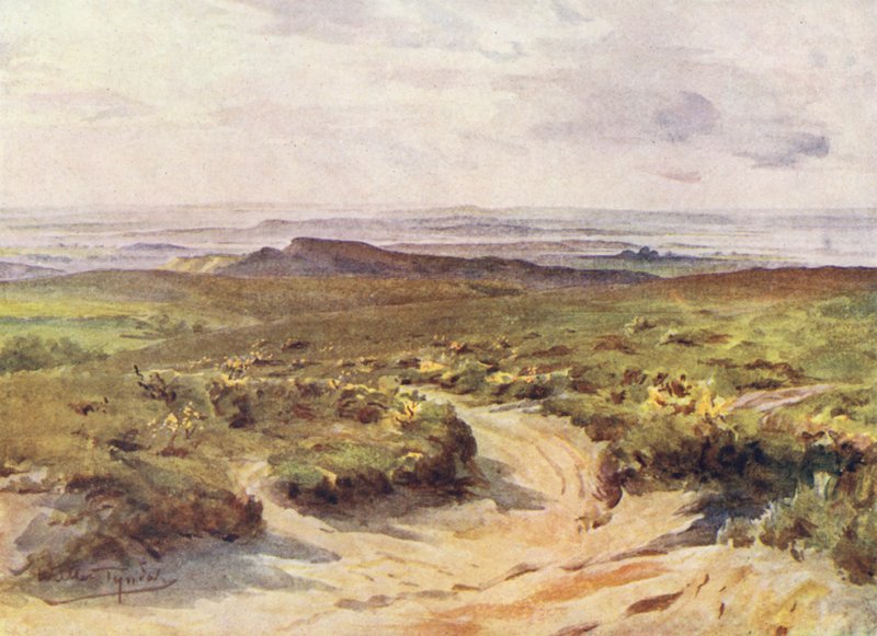 Wessex: Studland Heath, Poole Harbour i det fjerne (farvelitografi) af Walter Frederick Roofe Tyndale