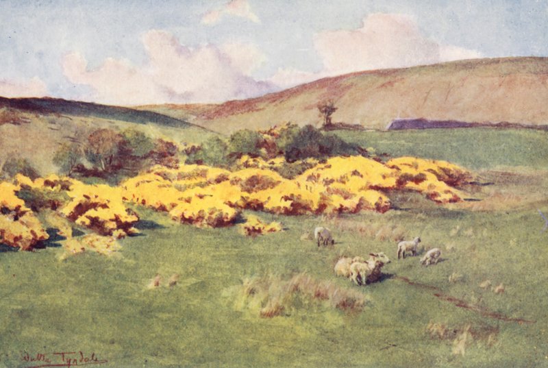 Wessex: Sommer i Wessex (farvelitografi) af Walter Frederick Roofe Tyndale