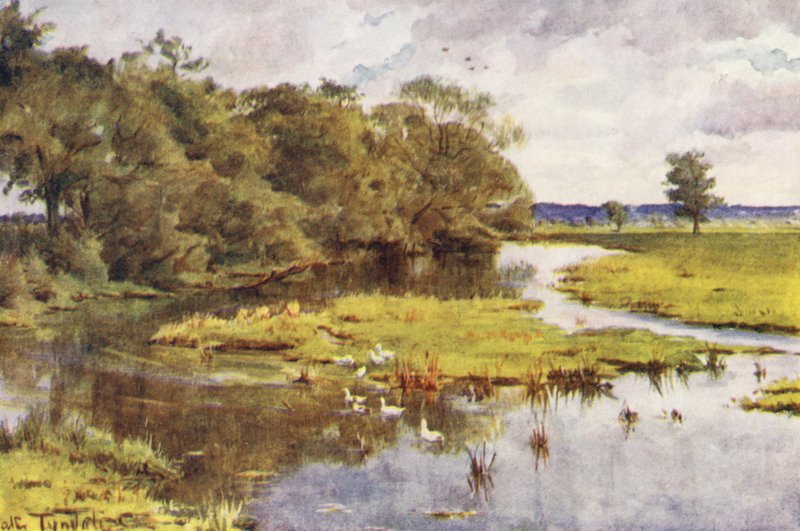 Wessex: Frome fra Bockhampton Bridge (farvelitografi) af Walter Frederick Roofe Tyndale