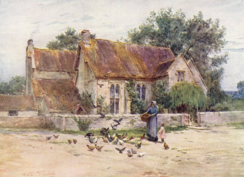 Wessex: Skovområder nær Mere, Wilts (farvelitografi) af Walter Frederick Roofe Tyndale
