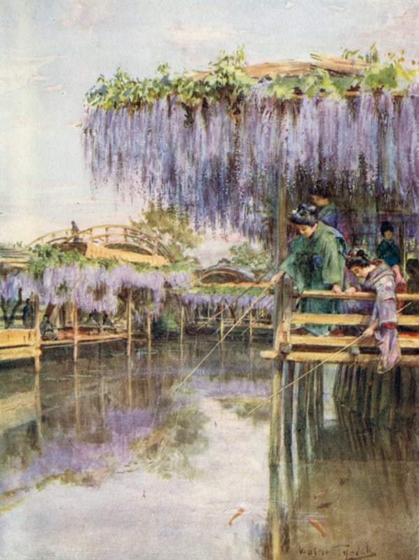 Wistaria på Kameido af Walter Frederick Roofe Tyndale