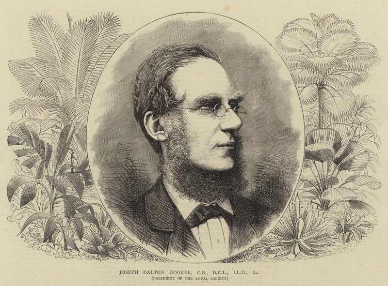 Joseph Dalton Hooker, CB, DCL, LLD osv af Walter Granville Smith