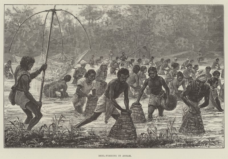 Beel-Fishing i Assam af Walter Paget
