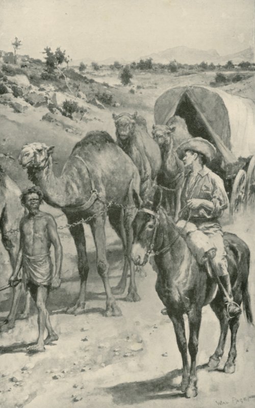 En Camel-Caravan, Western Australia af Walter Stanley Paget