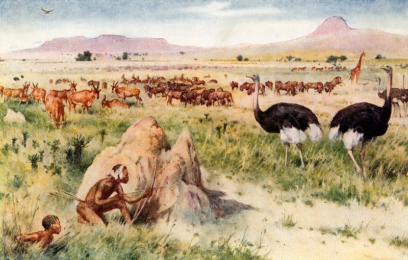 A South African Plain: Before the Coming of the White Man af Walter Stanley Paget