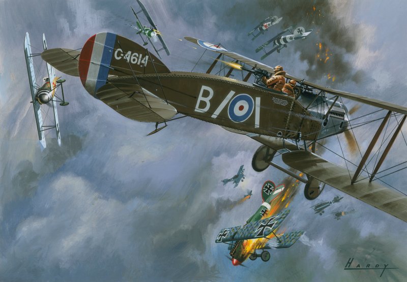 Fly i luftkamp af Wilf (20th century) Hardy