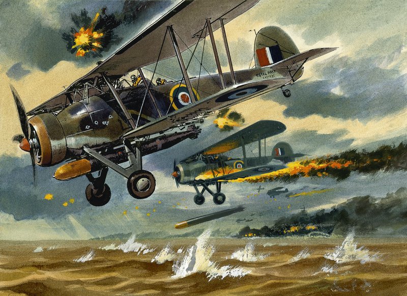 Fly under beskydning af Wilf (20th century) Hardy
