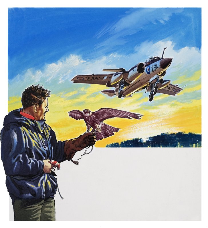 Falcon Flight (gouache på papir) af Wilf (20th century) Hardy