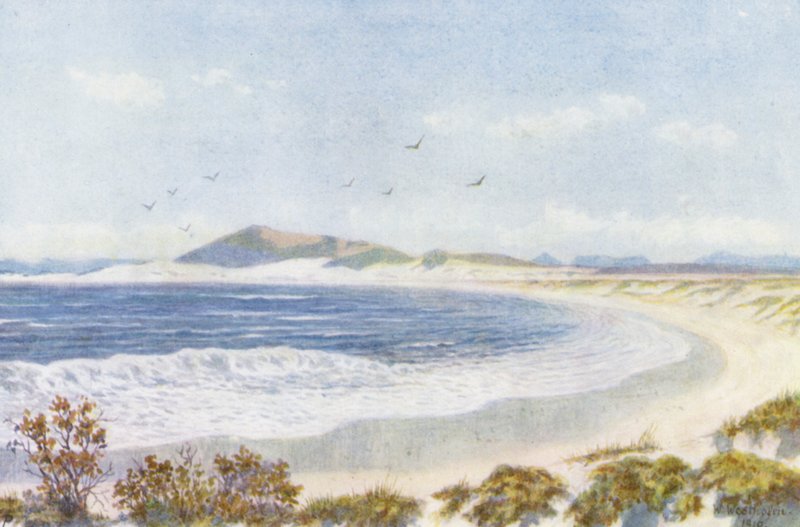 Blaauwberg og Head of Table Bay (farvelitografi) af Wilhelm Westhofen