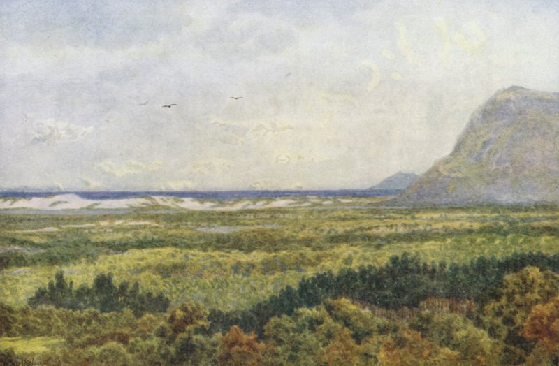 Constantia Valley og False Bay med Cape Point (farvelitografi) af Wilhelm Westhofen