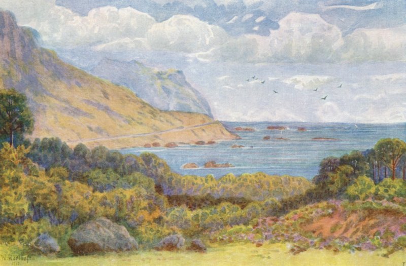 På Victoria Road, nær Oude Kraal (farvelitografi) af Wilhelm Westhofen