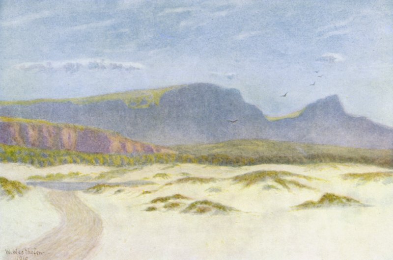 Sanddyner (farvelitografi) af Wilhelm Westhofen