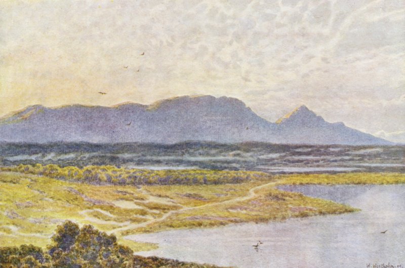 Taffelbjerget fra Retreat Flats (farvelitografi) af Wilhelm Westhofen