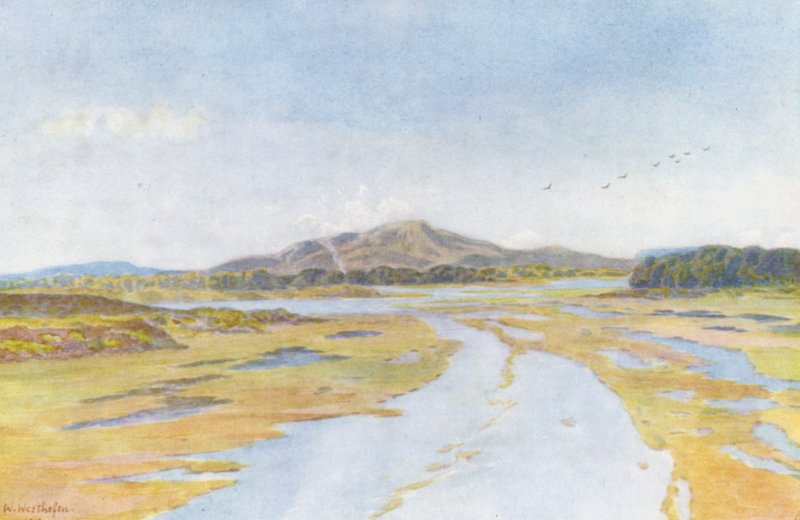 Tigerberg og Diep-floden (farvelitografi) af Wilhelm Westhofen