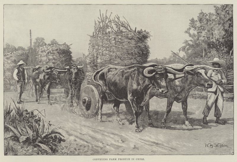 Transport af landbrugsprodukter i Chile af William Barnes Wollen