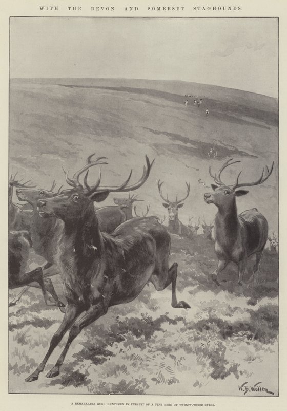 Med Devon og Somerset Staghounds af William Barnes Wollen