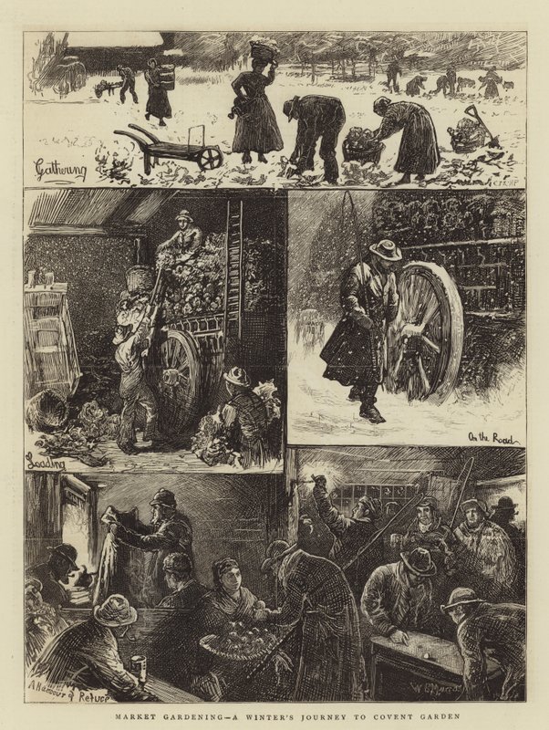 Market Gardening, en vinterrejse til Covent Garden af William Bazett Murray